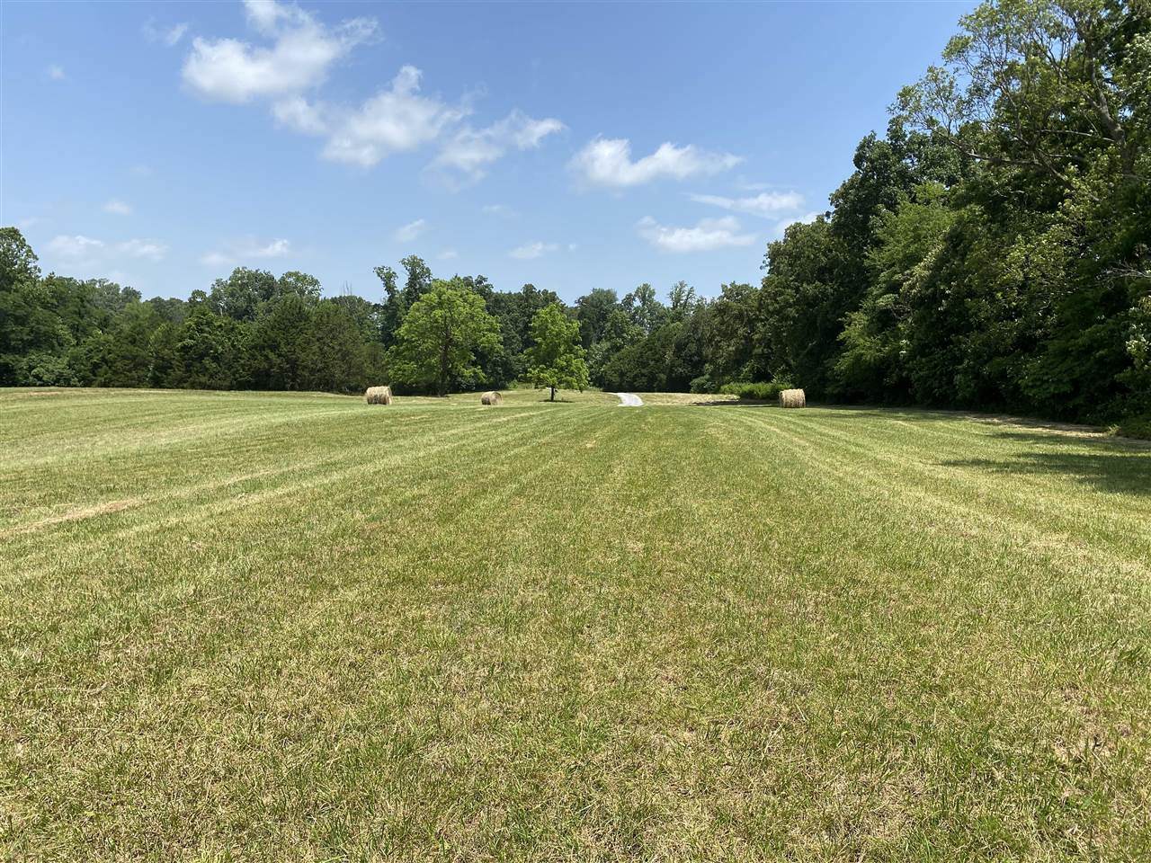 645 Phillip Whitlow Road - Photo 1
