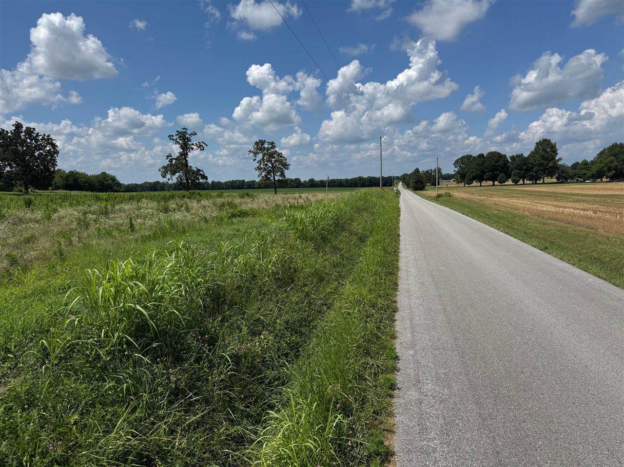 2009 Hardison Road - Photo 1