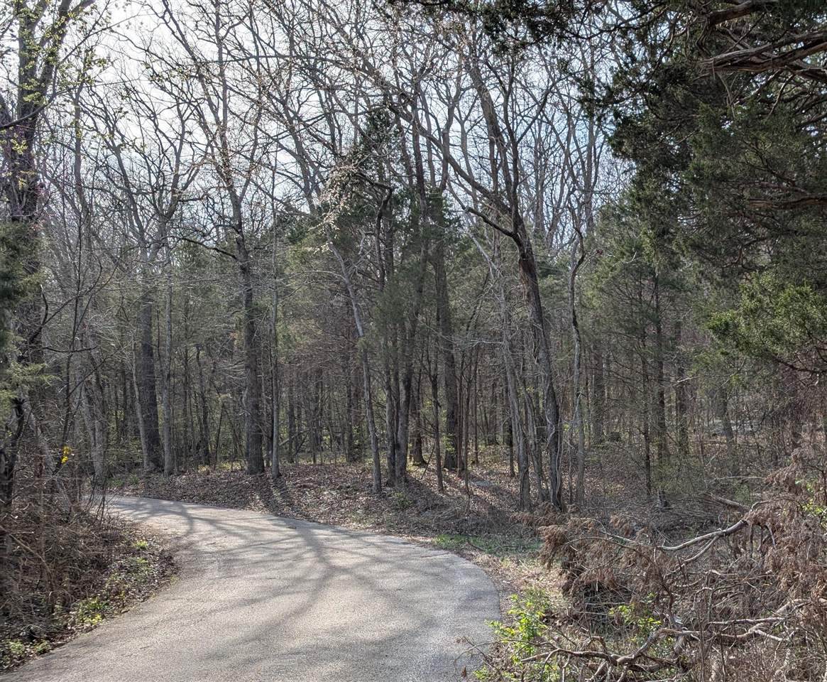 Lot 2 Brookwood Drive - Photo 1