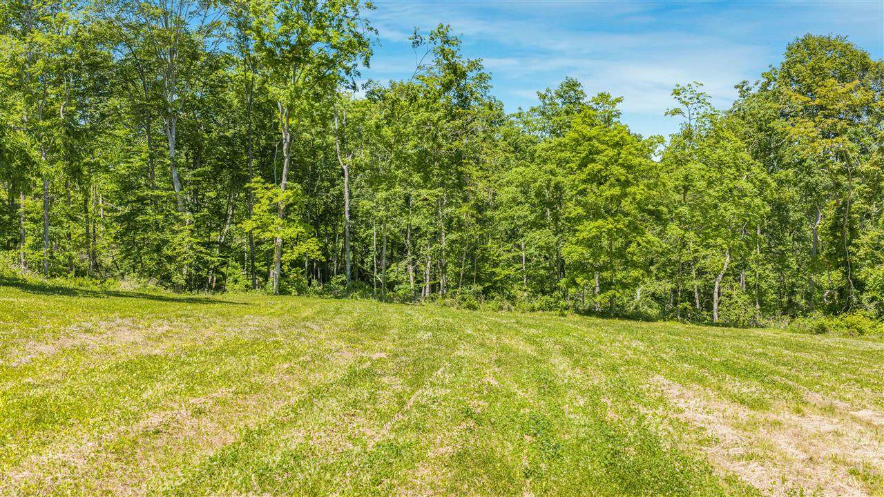 0 Clifty Hollow Road - Photo 1