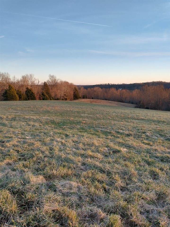 1568 Cub Run Road - Photo 1