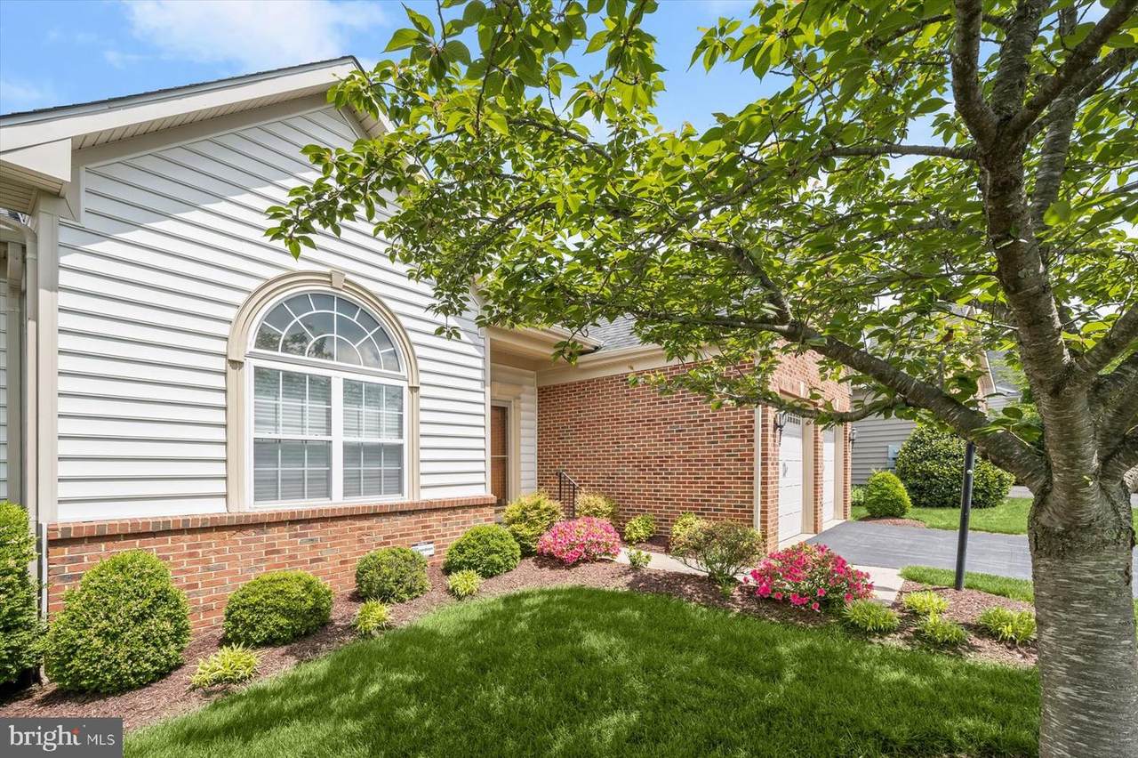 10576 Edwardian Lane - Photo 1