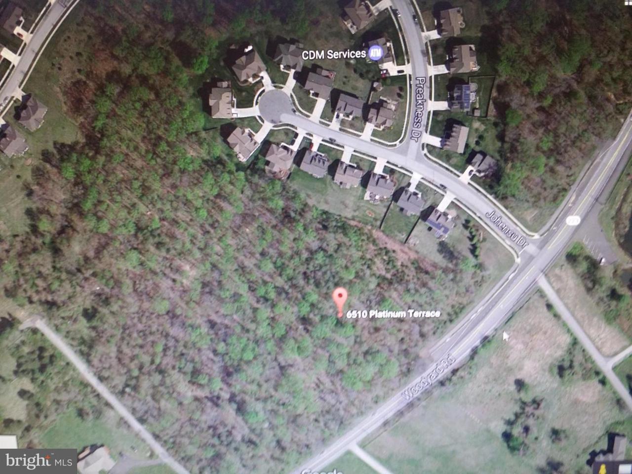 6510 Platinum Road - Photo 1