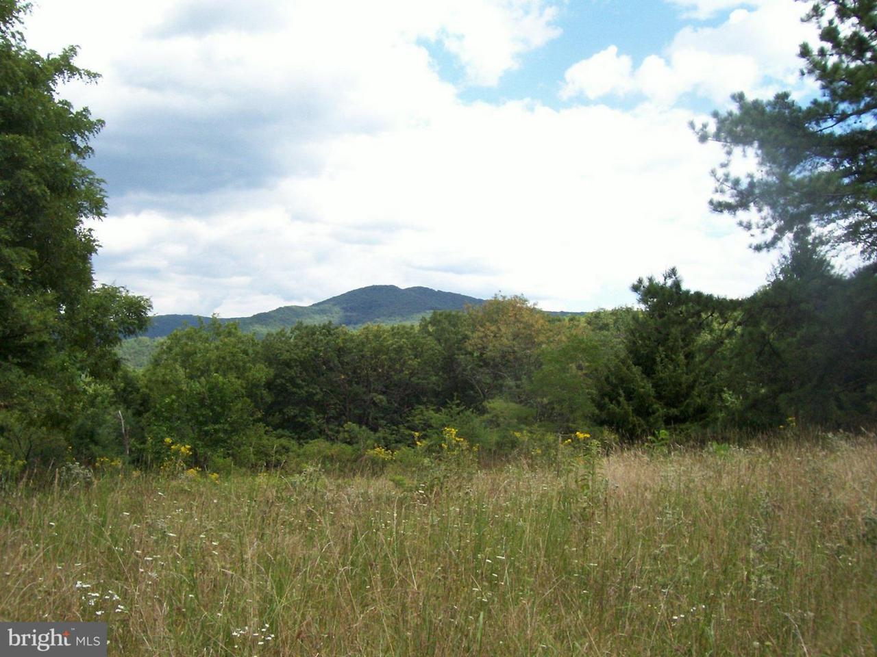 0 Rt. 220 - Photo 1