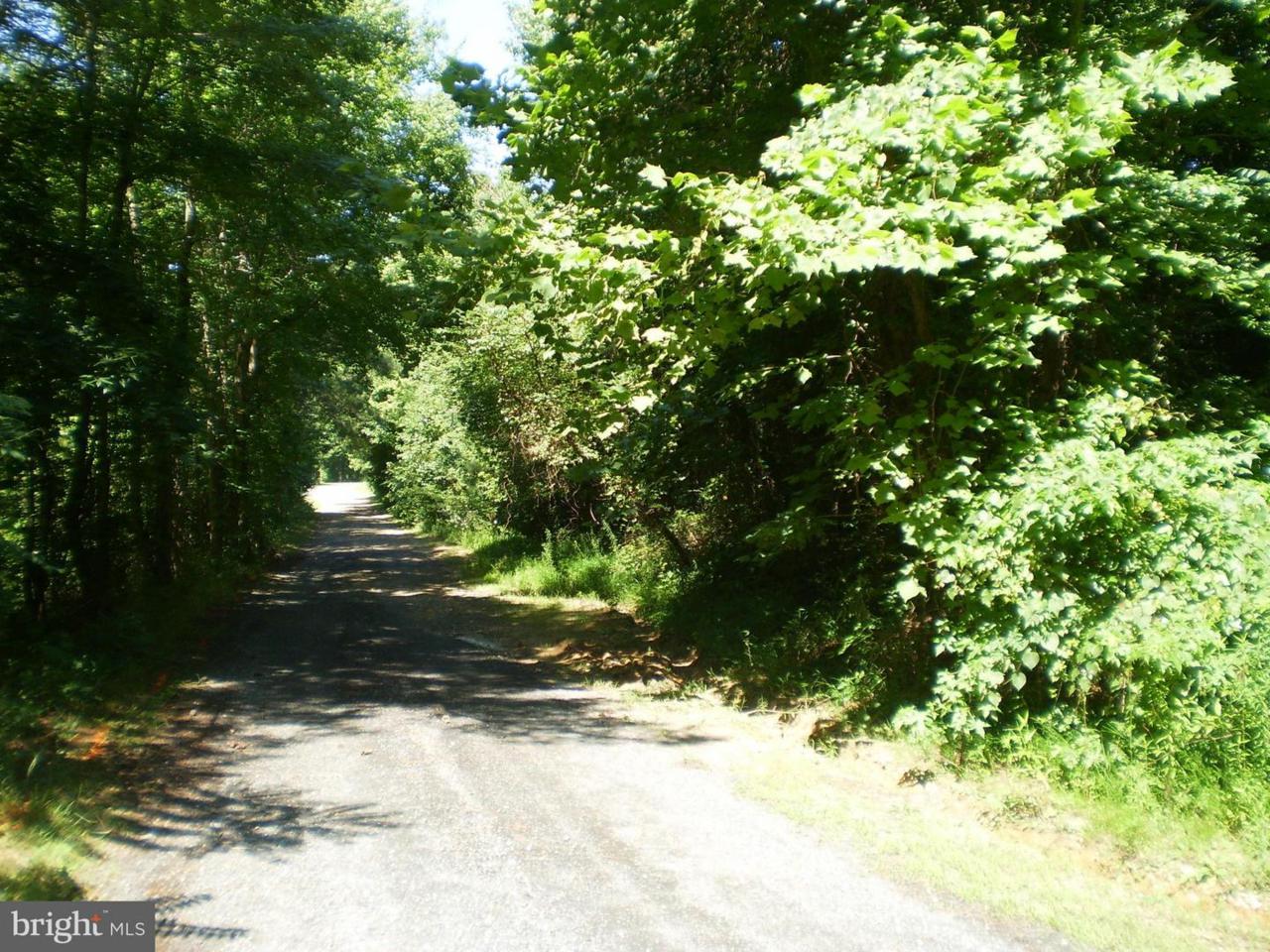 4574 Turkey Acres Road - Photo 1