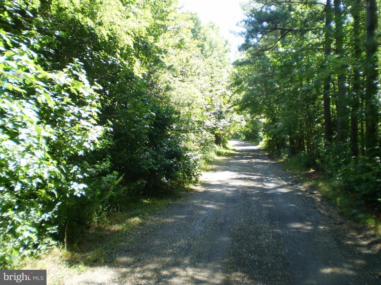 4574 Turkey Acres Road - Photo 1