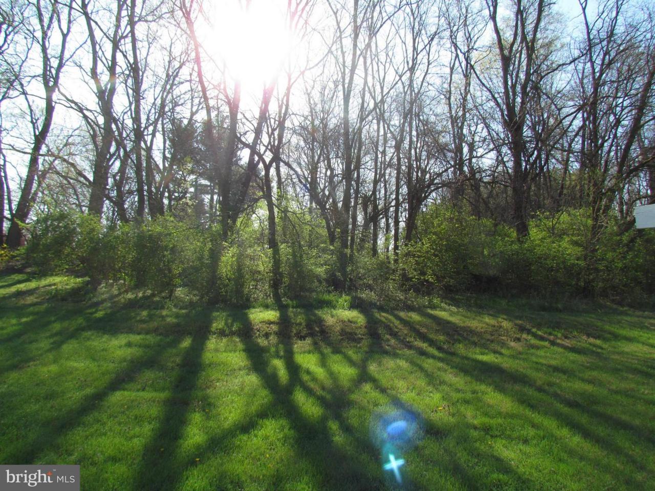 13229 Paradise Church Road - Photo 1