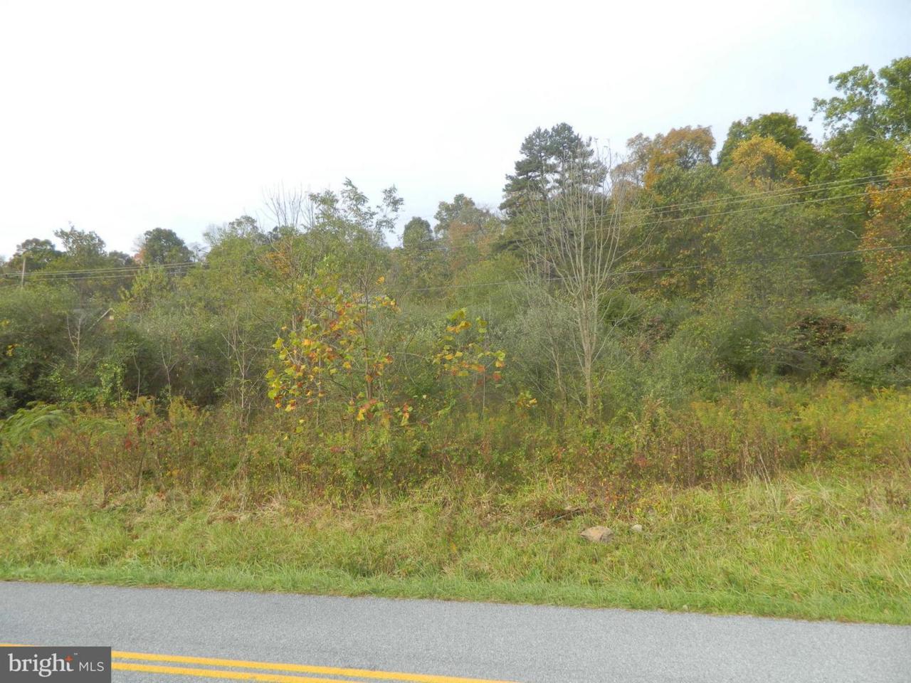 12312 Indian Springs Road - Photo 1