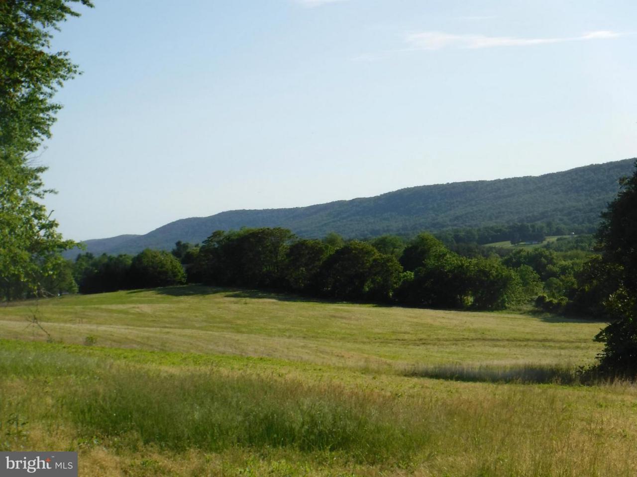 20501 Gathland Trail - Photo 1