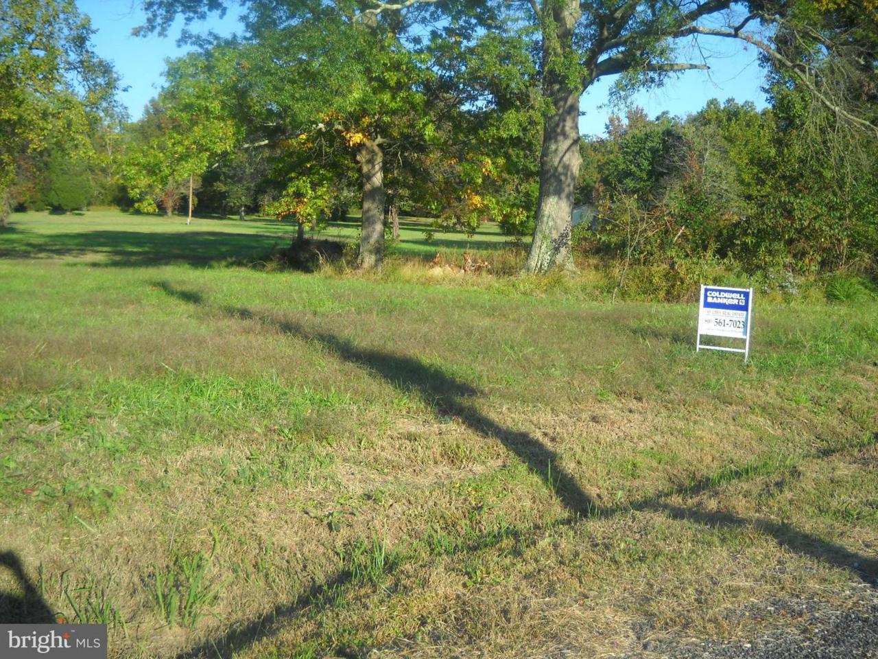 Skyview Drive - Photo 1