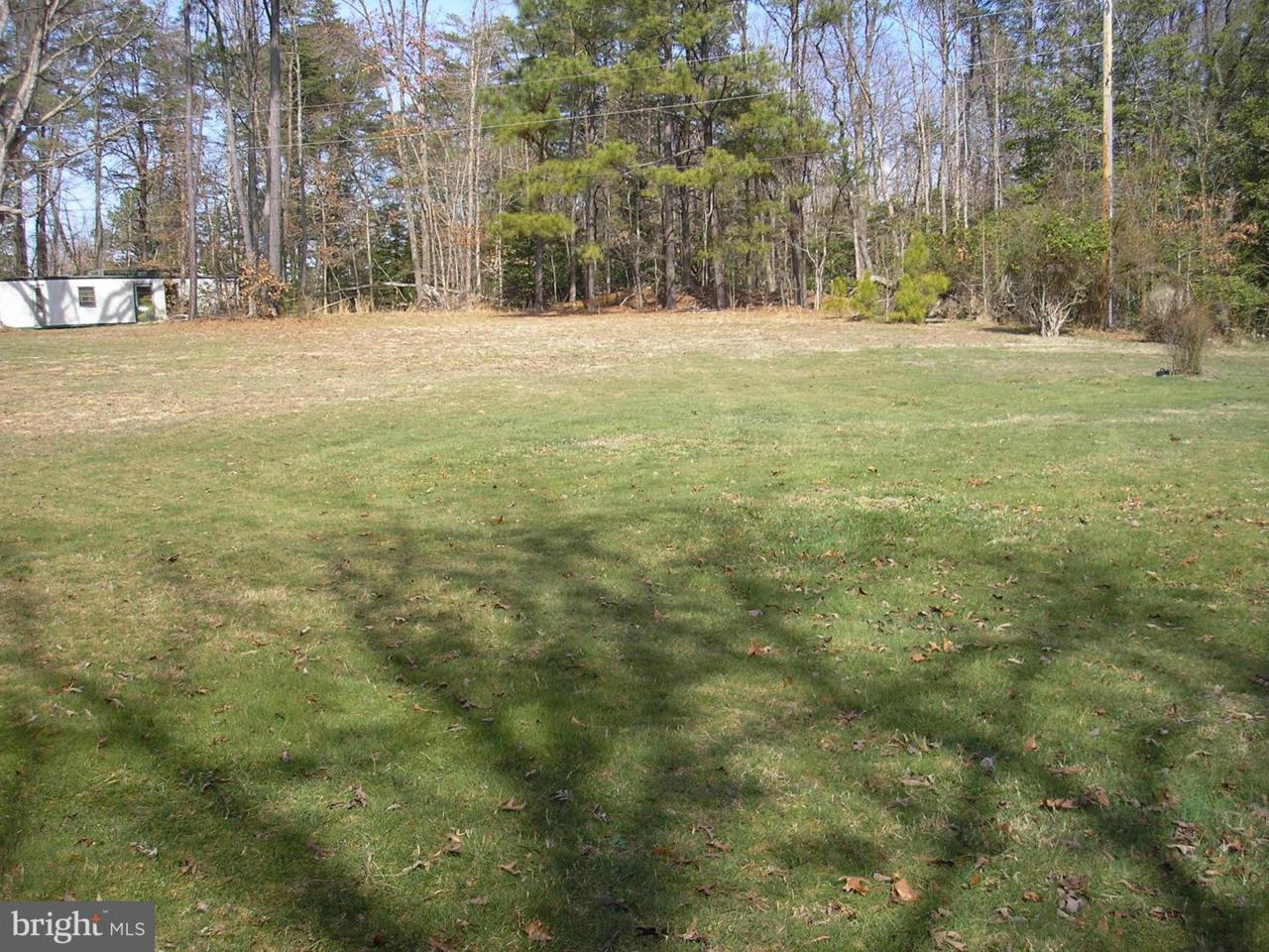 19920 Piney Point Road - Photo 1