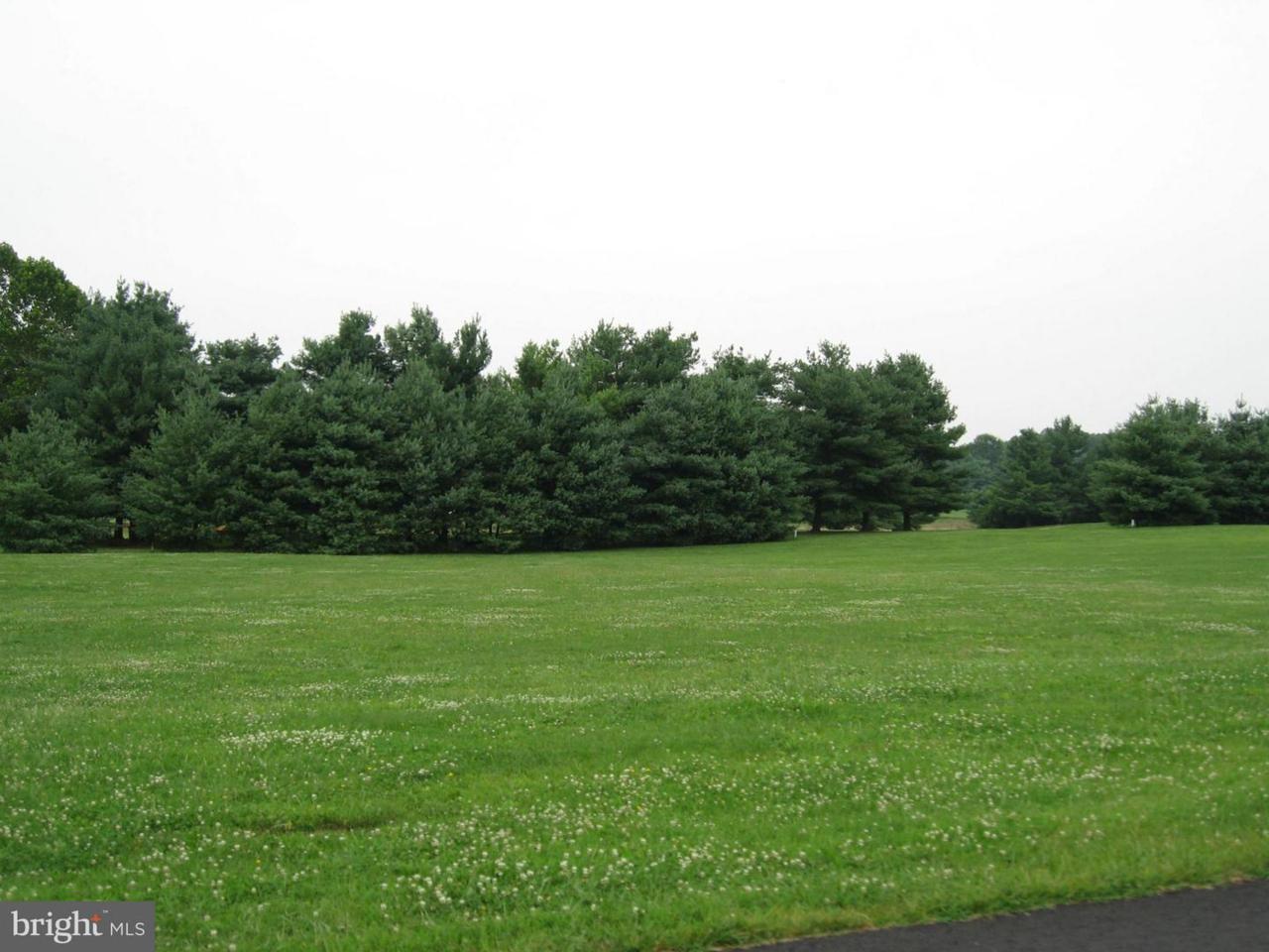 LOT 21 Bowling View Road - Photo 1