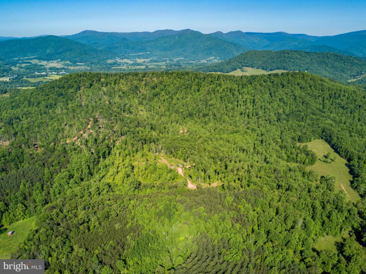 Weaver Hollow Road - Photo 1