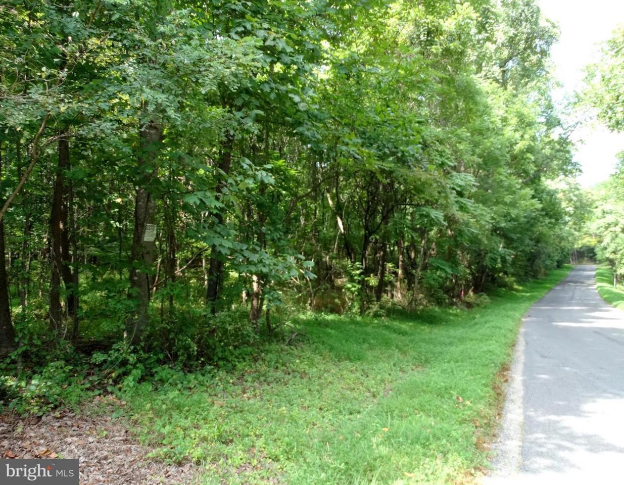 Beahm Town Road - Photo 1