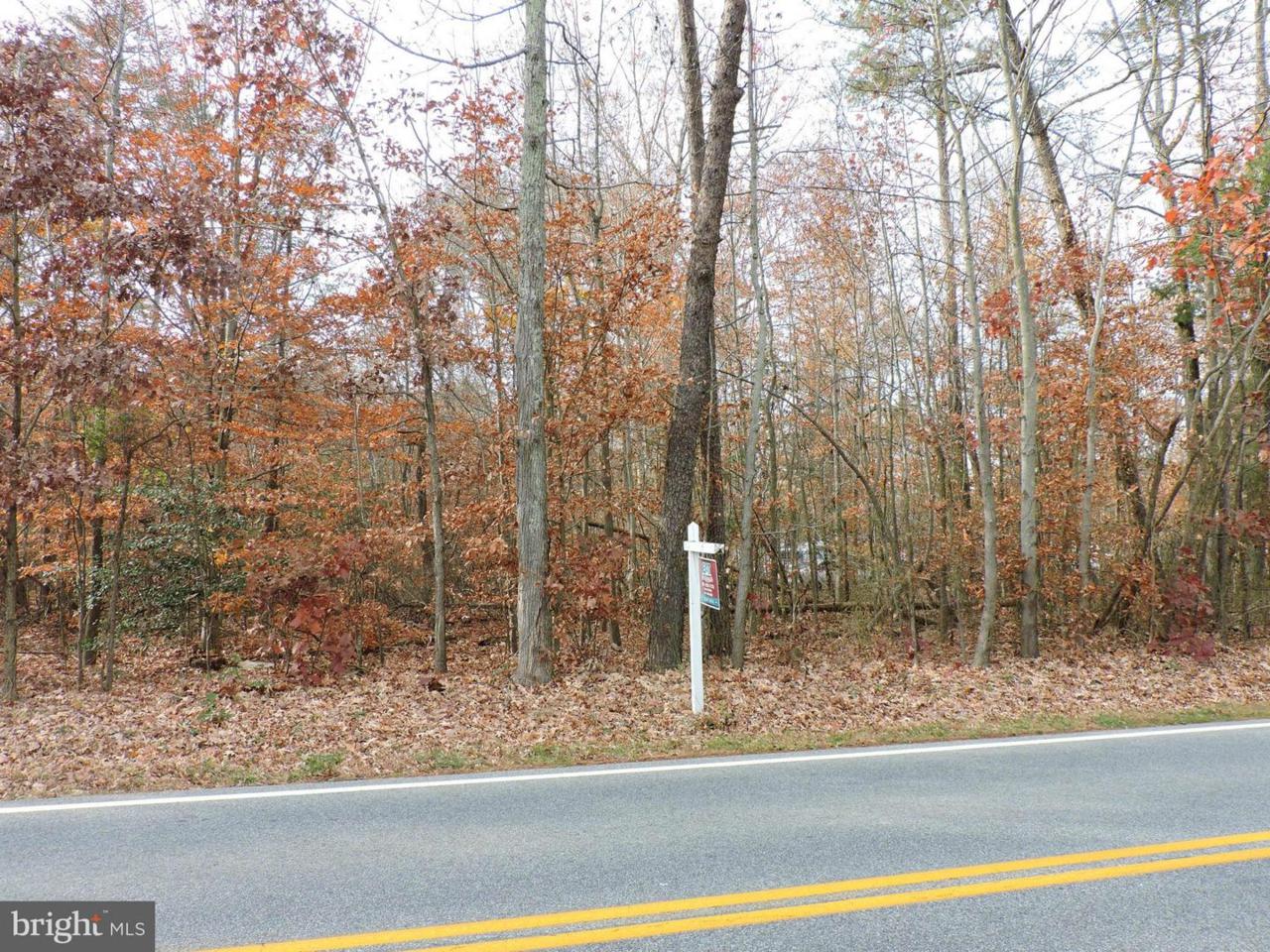 0 Bumpy Oak Road - Photo 1