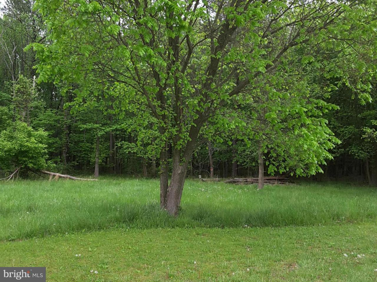 22460 Crouchs Lane - Photo 1