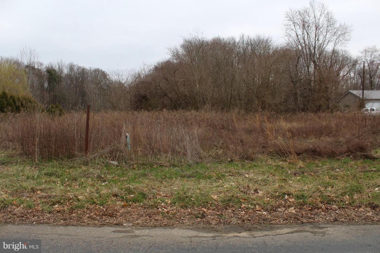 10669 Chesterville Forest Road - Photo 1