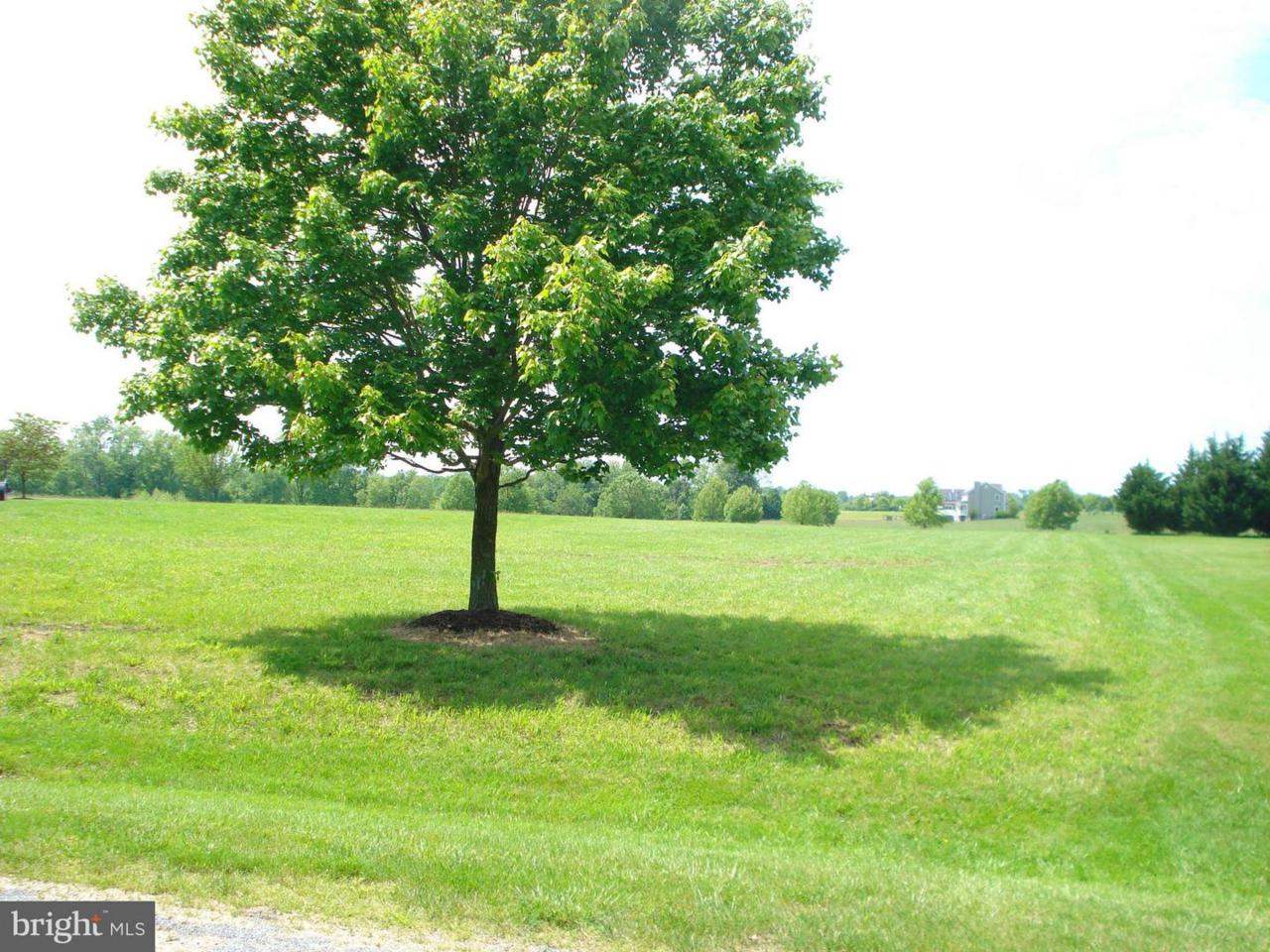 Parson Hill Court - Photo 1