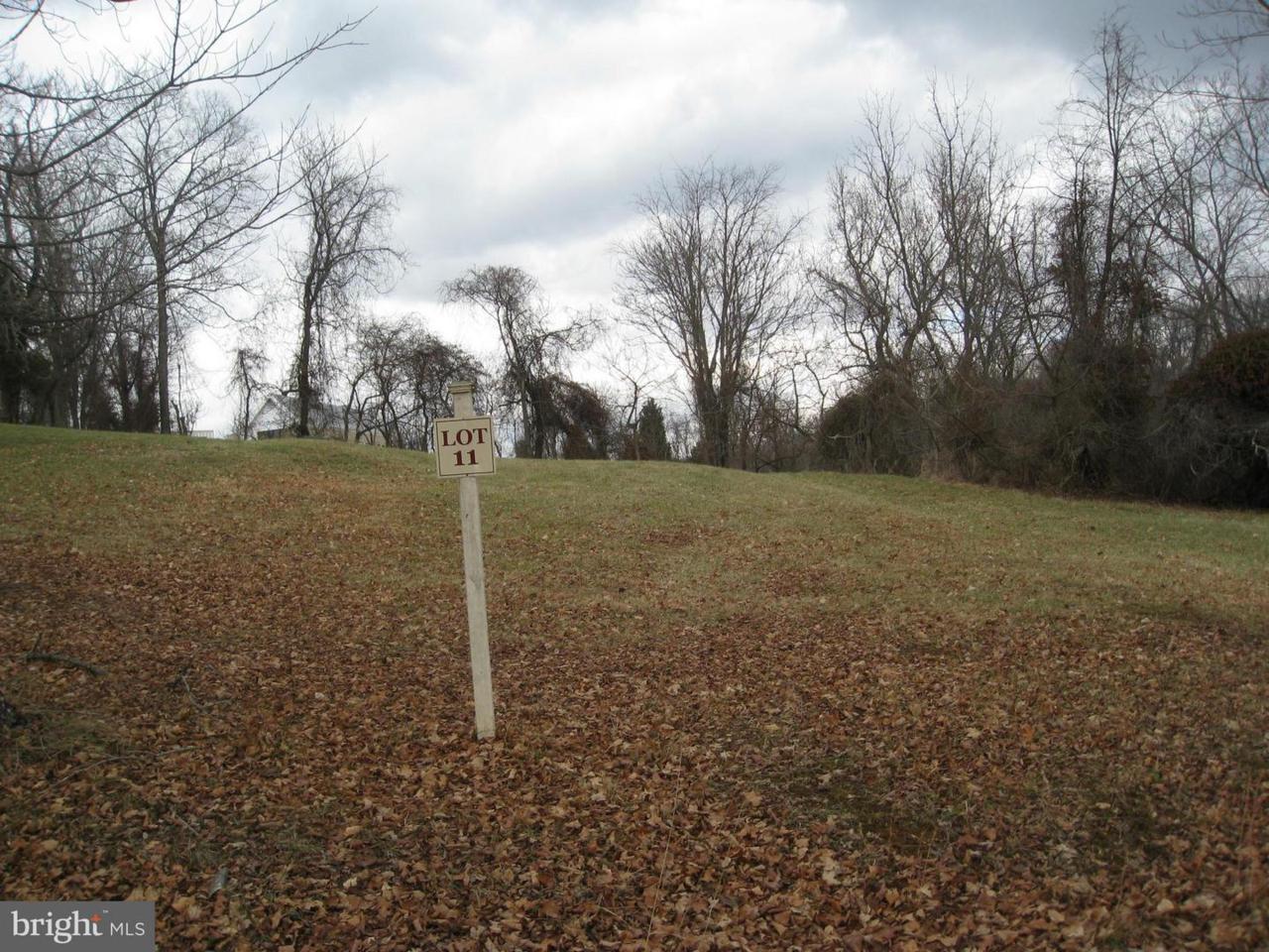 41366 Common House Lane - Photo 1