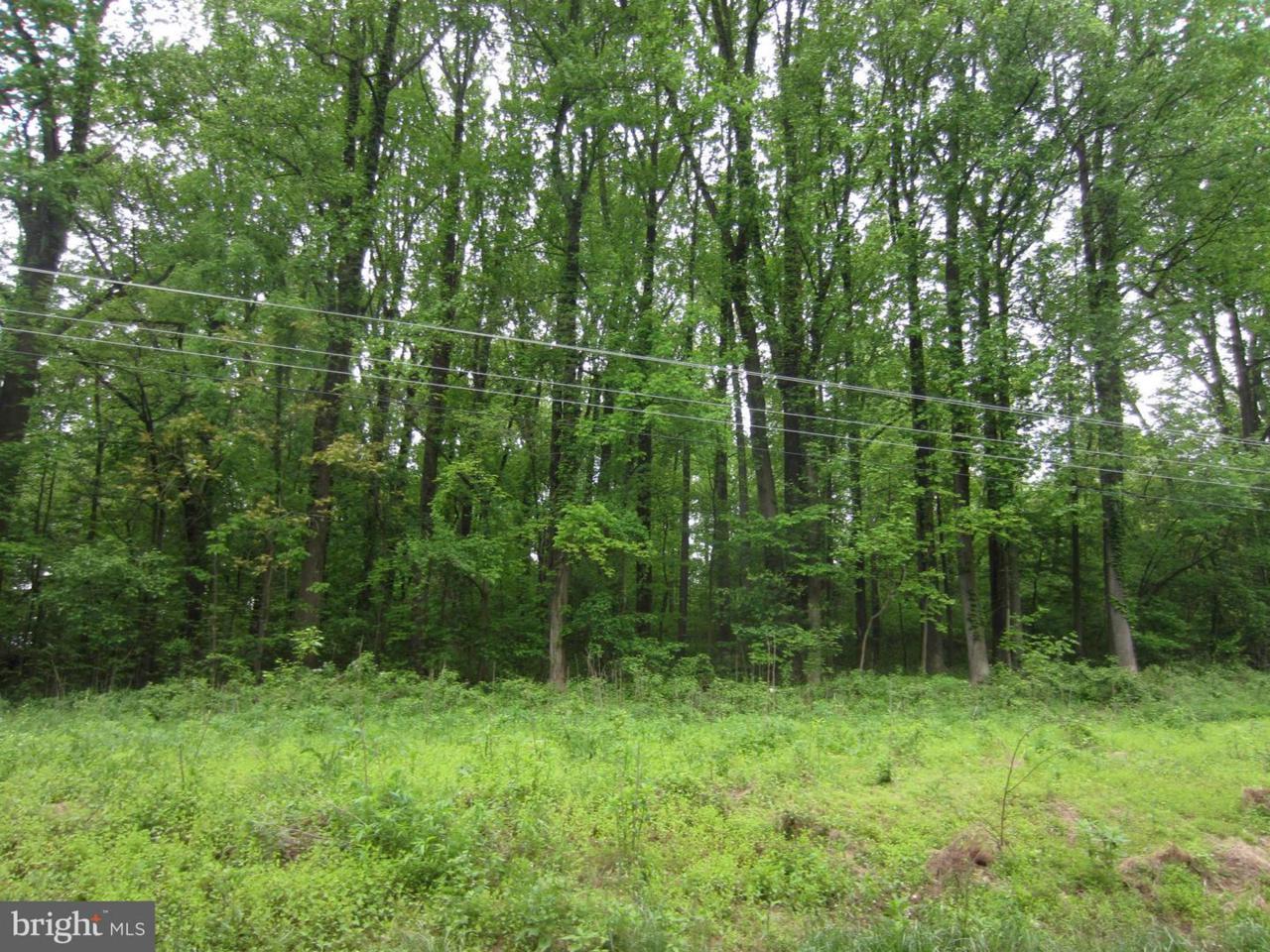 Taylorstown Road - Photo 1