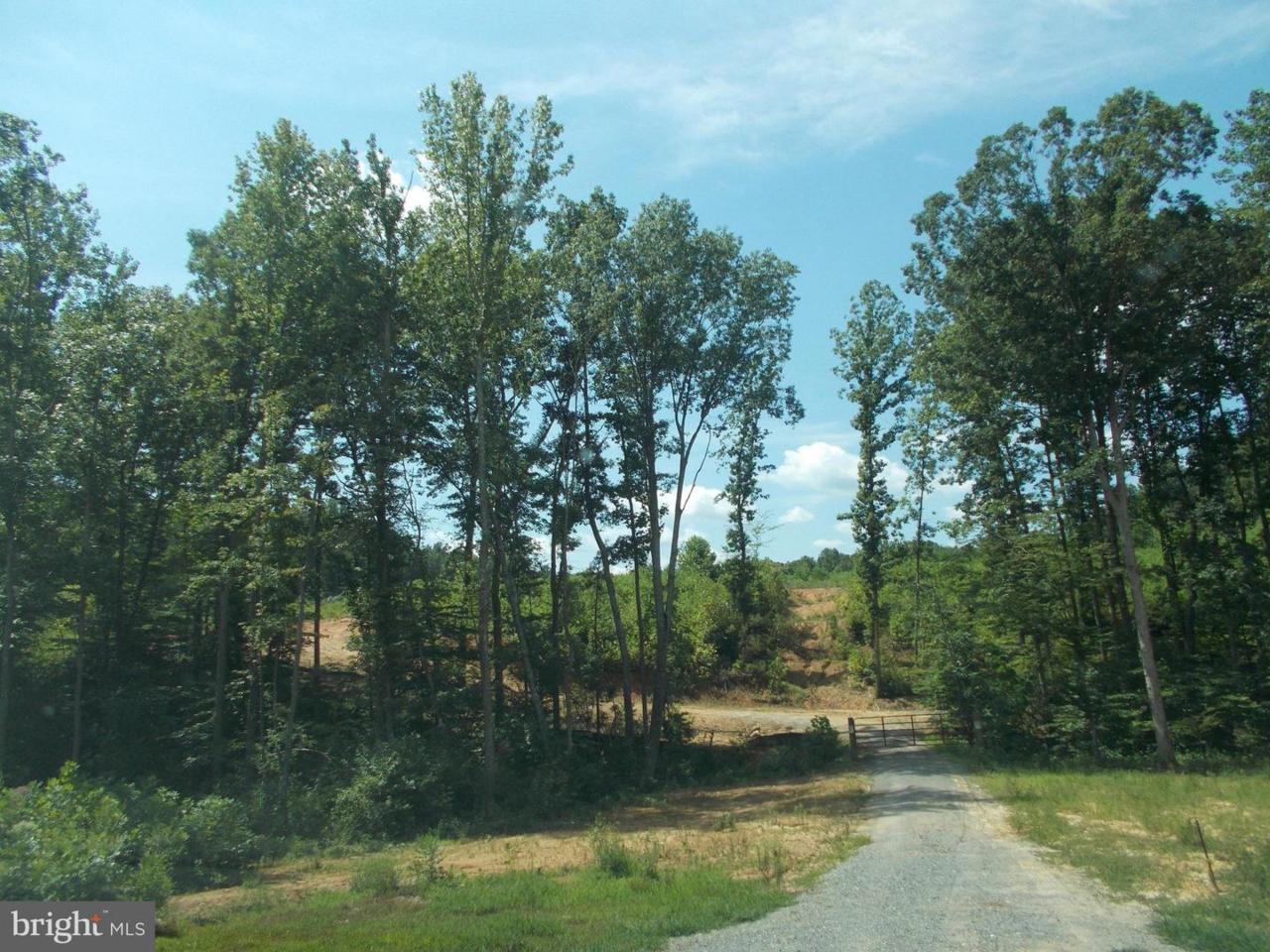 Jefferson Highway - Photo 1