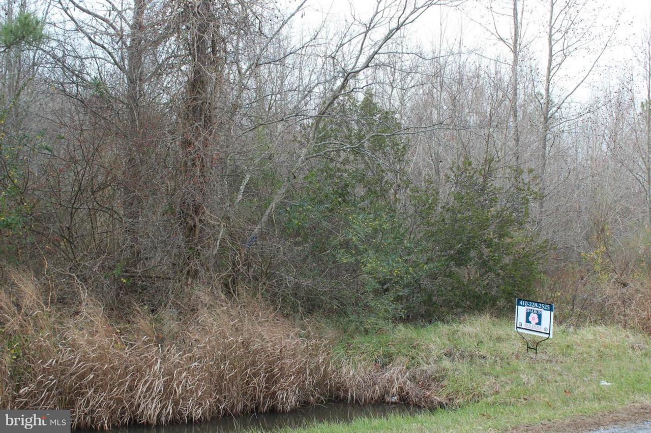 White Marsh Road - Photo 1 White Marsh Road - Photo 1