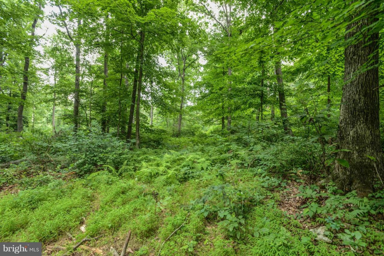 Browns Quarry Rd Lot 3 - Photo 1