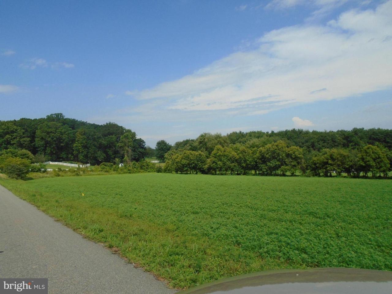 990 Rock Springs Road - Photo 1