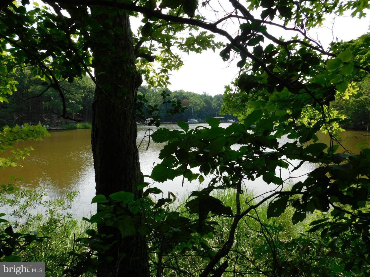 230 Marina Overlook - Photo 1