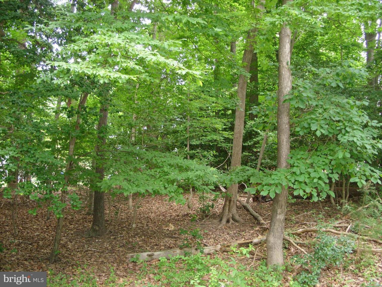 854 Forest Glen Road - Photo 1
