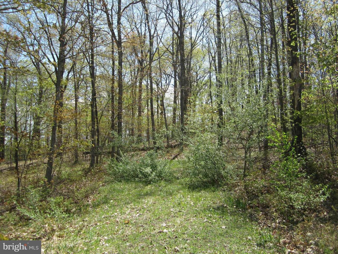 Warnick Way - Photo 1