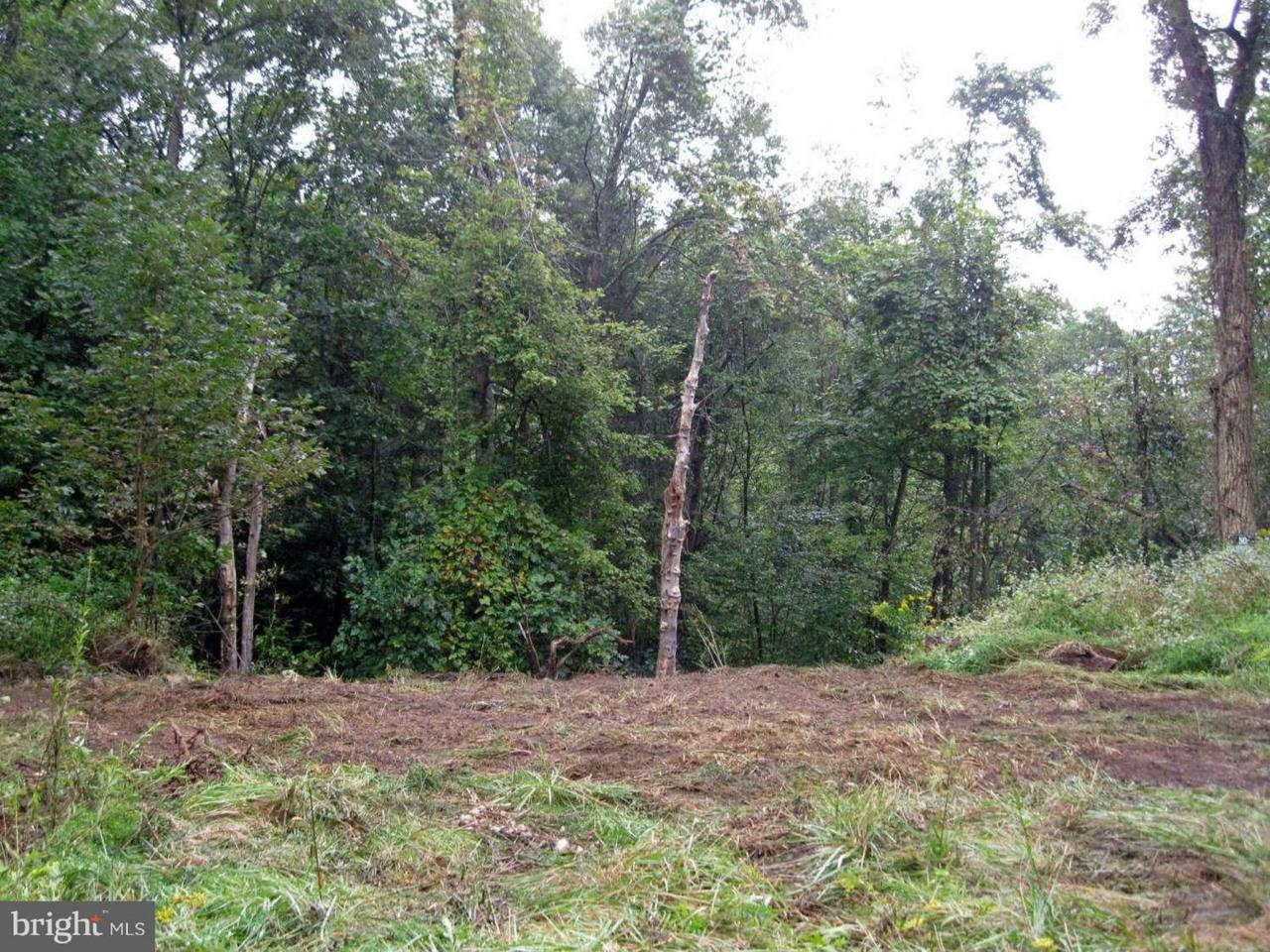 Friendsville Road - Photo 1