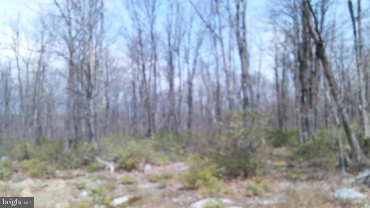 Easy - Photo 1