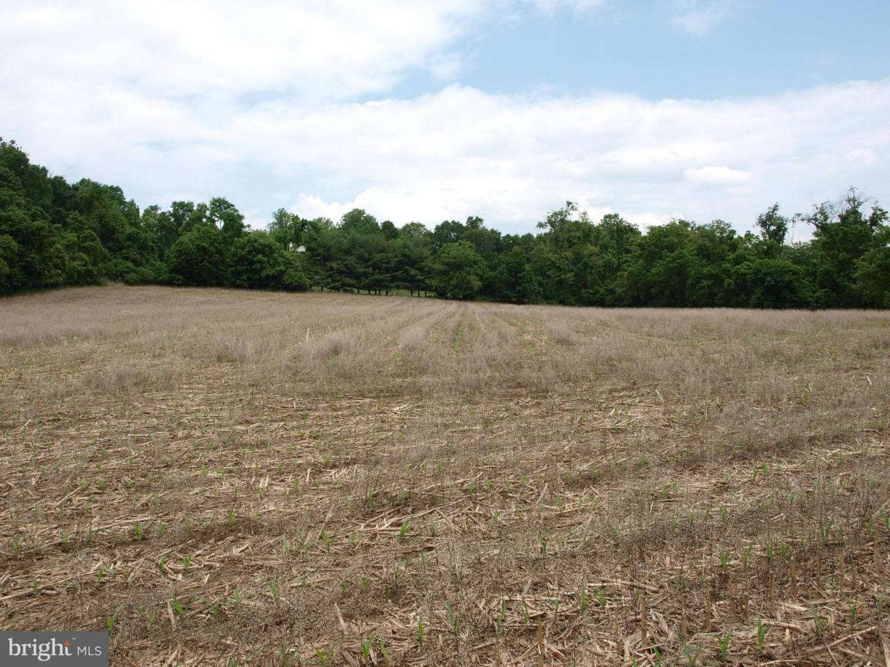 Jones Road - Photo 1