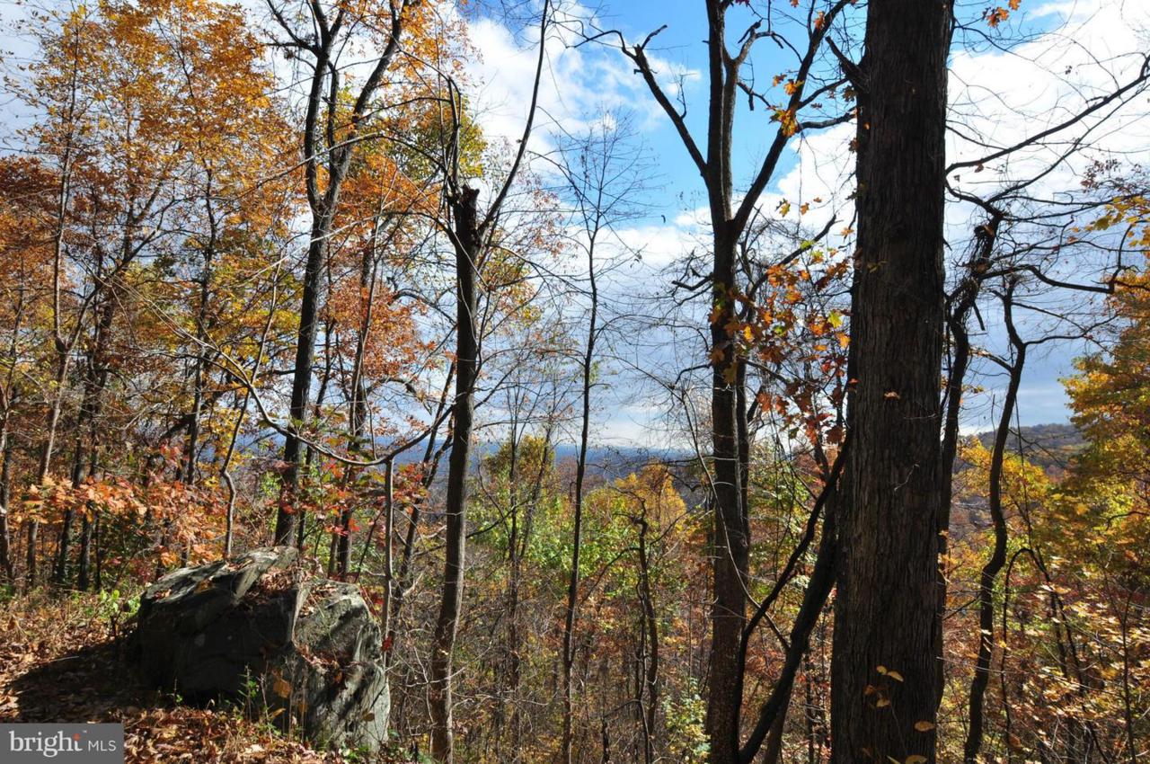 60 Rattlesnake Hollow - Photo 1