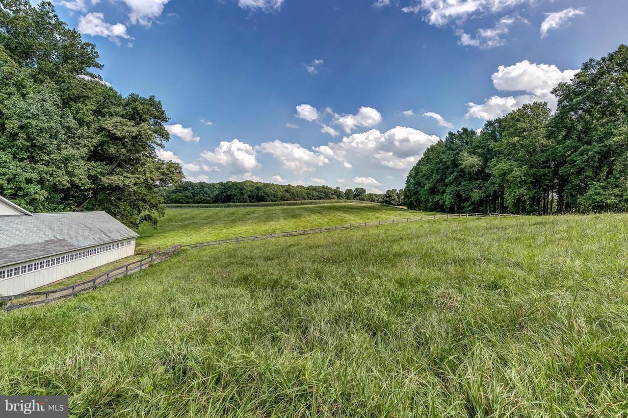 13601 Mantua Mill Road - Photo 1