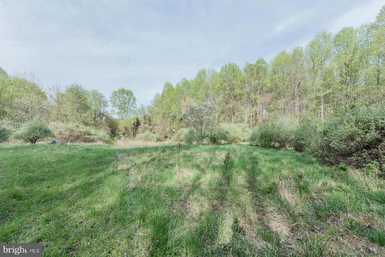 PARCEL 41 Wrights Mill Road - Photo 1