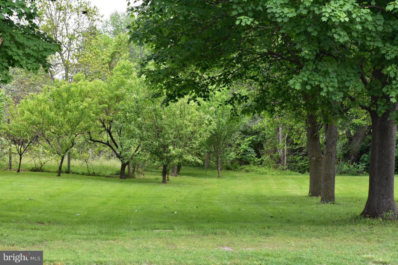 Stover Avenue - Photo 1 Stover Avenue - Photo 1