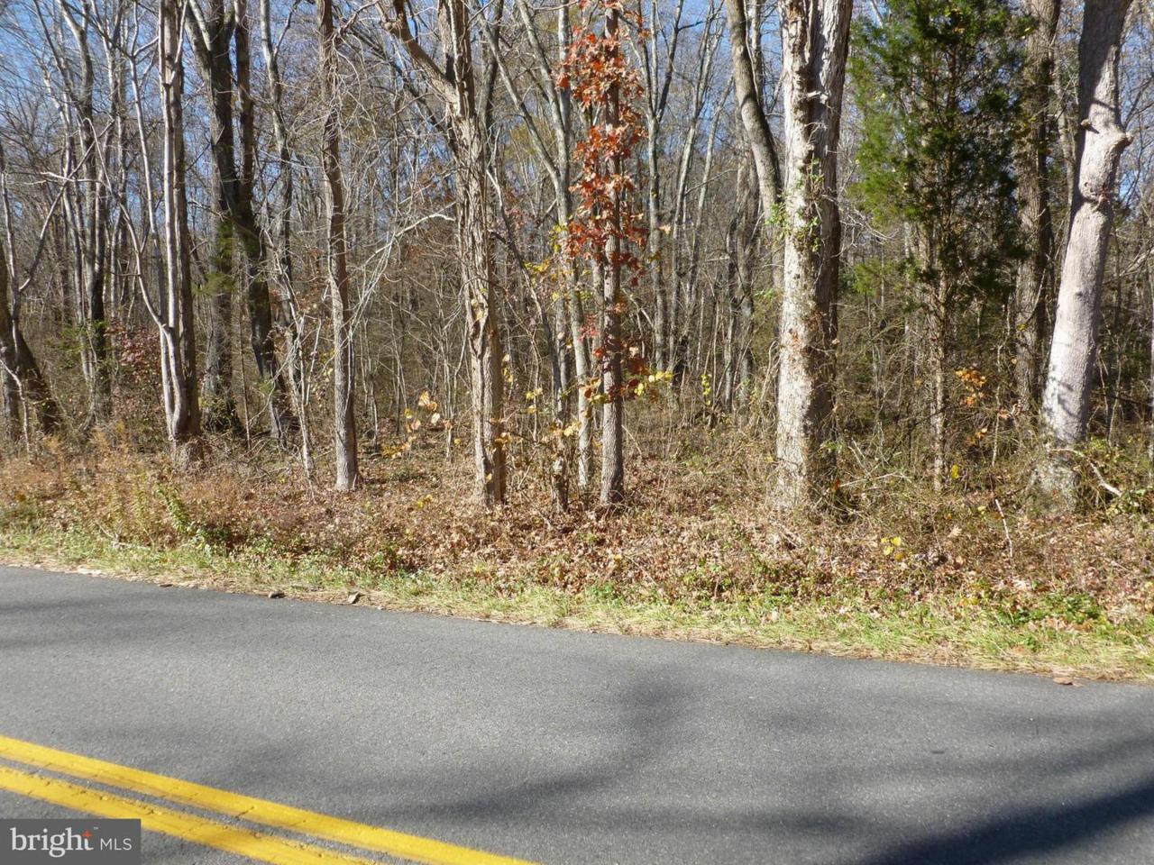 Sumerduck Road - Photo 1