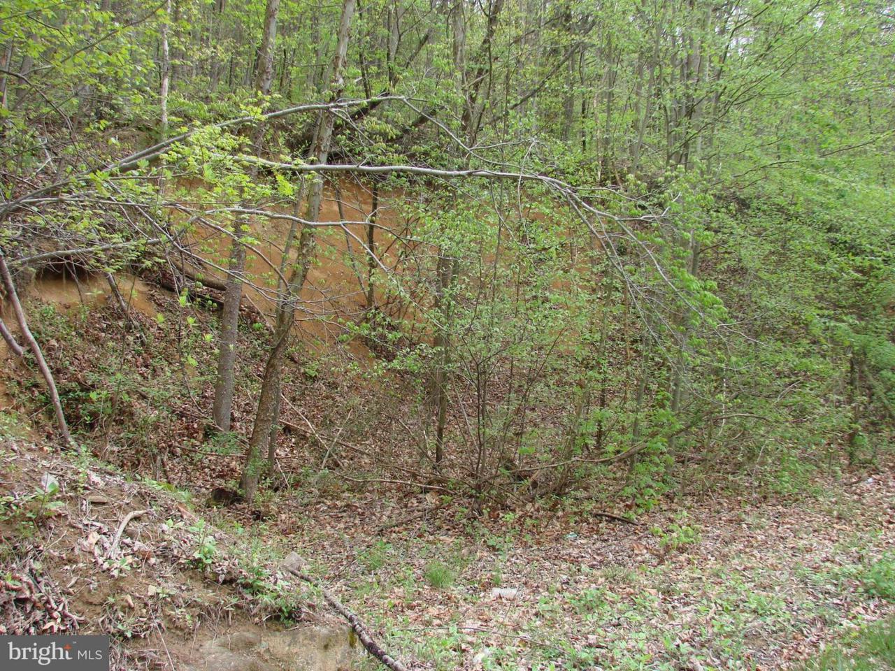 Dovel Hollow Rd. - Photo 1