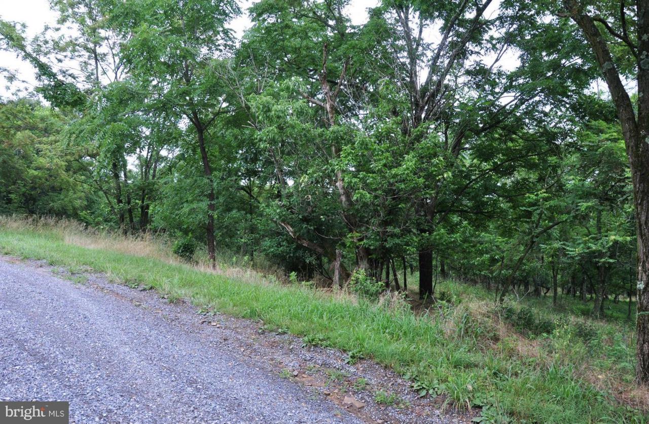 L-65-L-65 Sawmill Drive - Photo 1