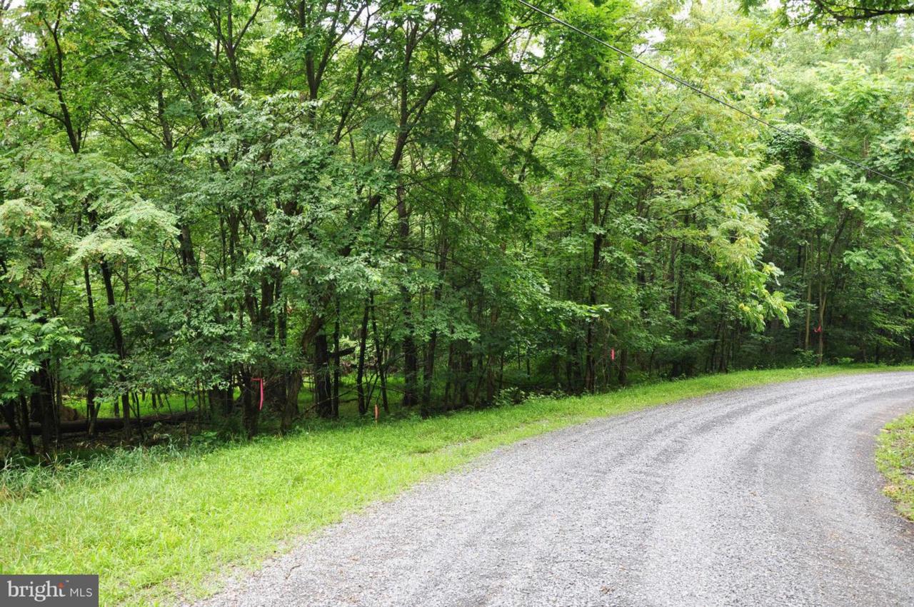 L-55 Logger Drive - Photo 1
