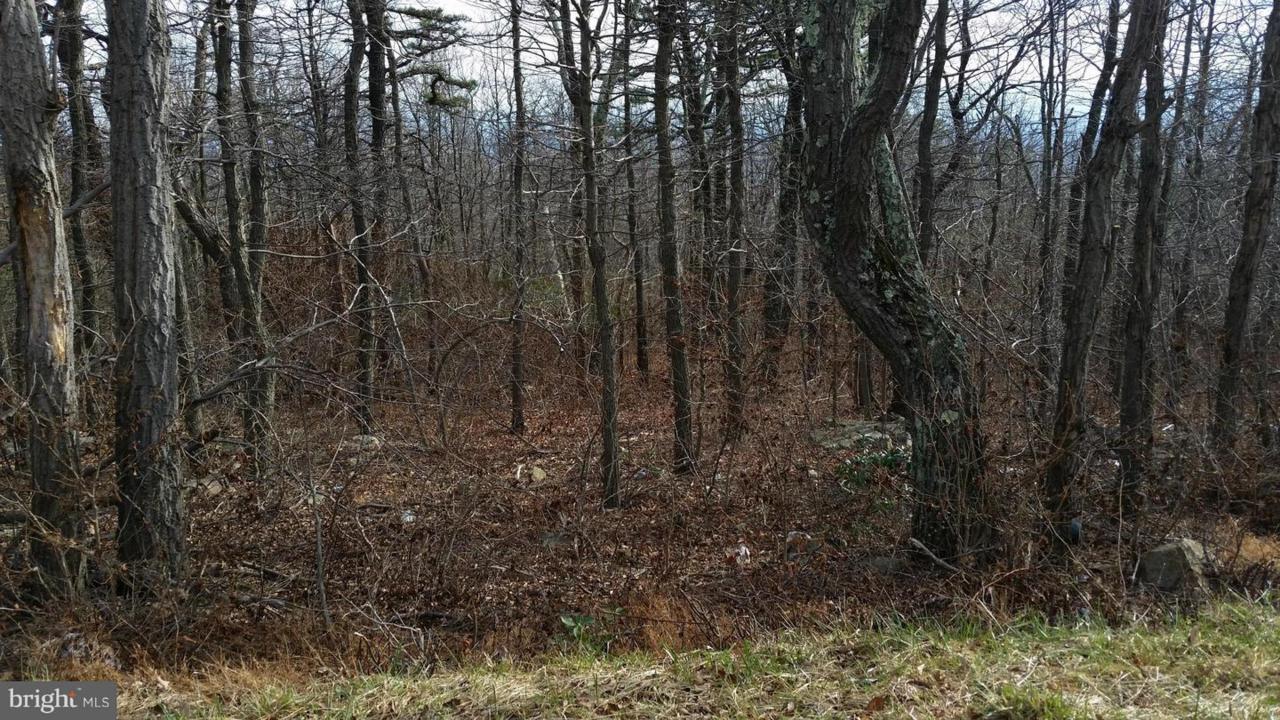 254 Rockwood Trail - Photo 1