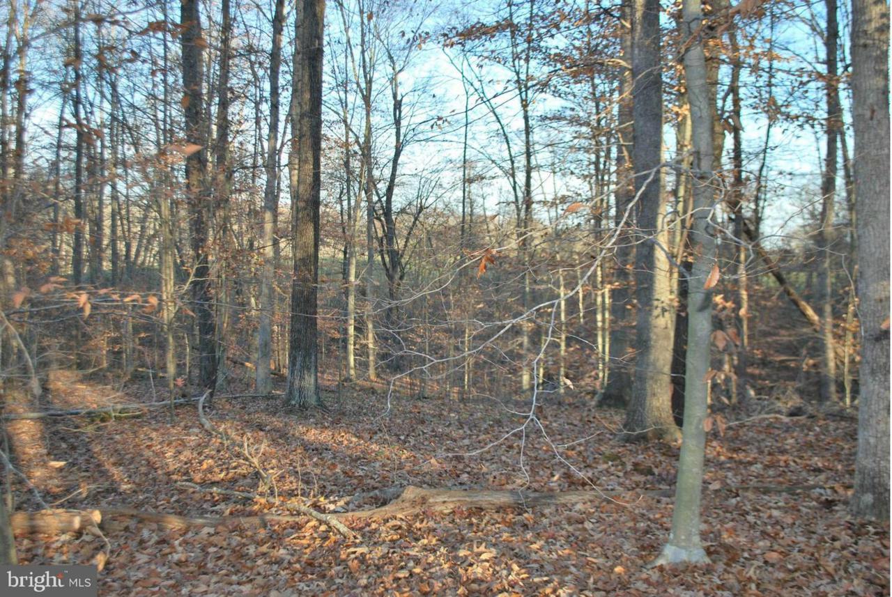 Pine Stake Road - Photo 1 Pine Stake Road - Photo 1