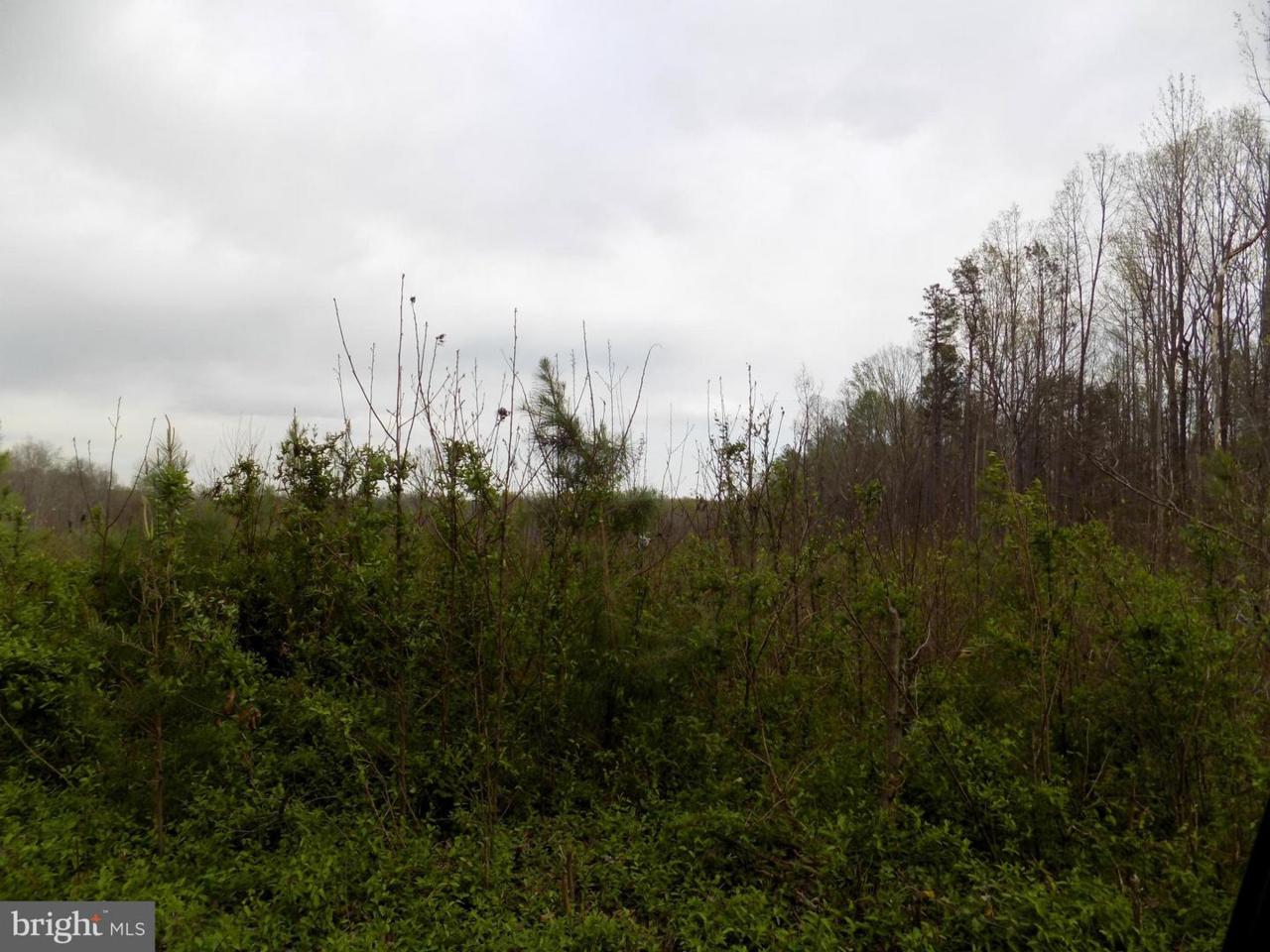 Country Rd - Lot 2 - Photo 1