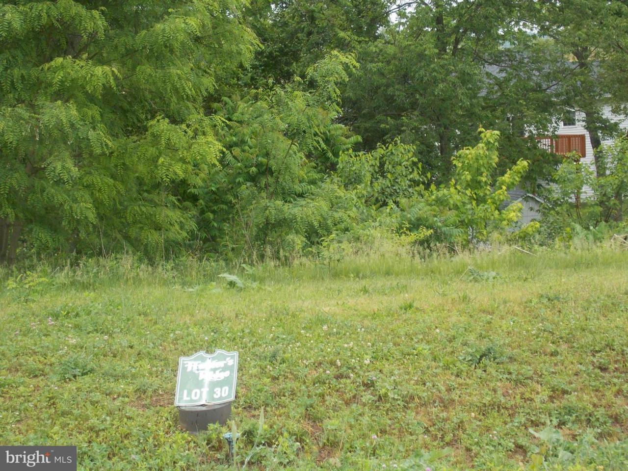 LOT #30 Capri Court - Photo 1