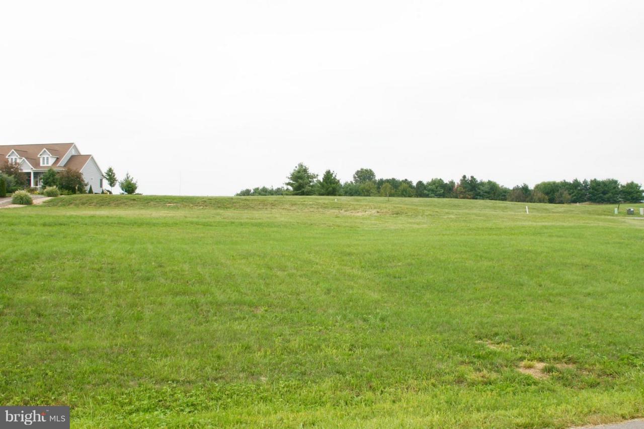 7118 Seminole Way - Photo 1