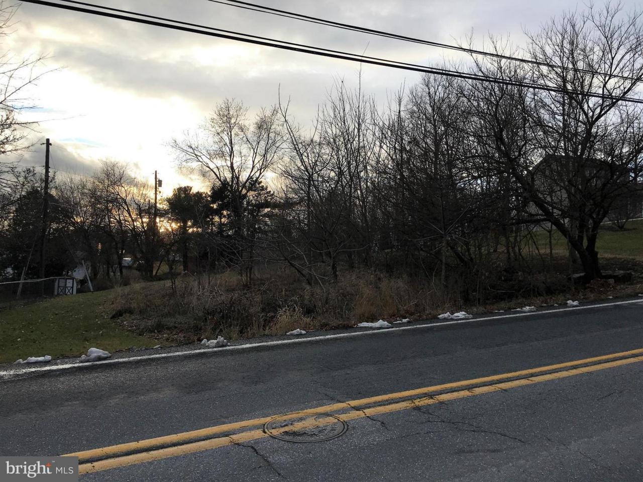 Falling Spring Road - Photo 1