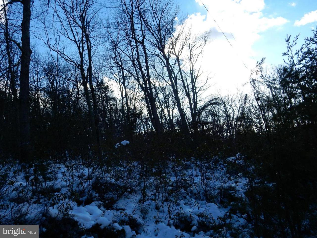 30 Yellow Pine Drive - Photo 1