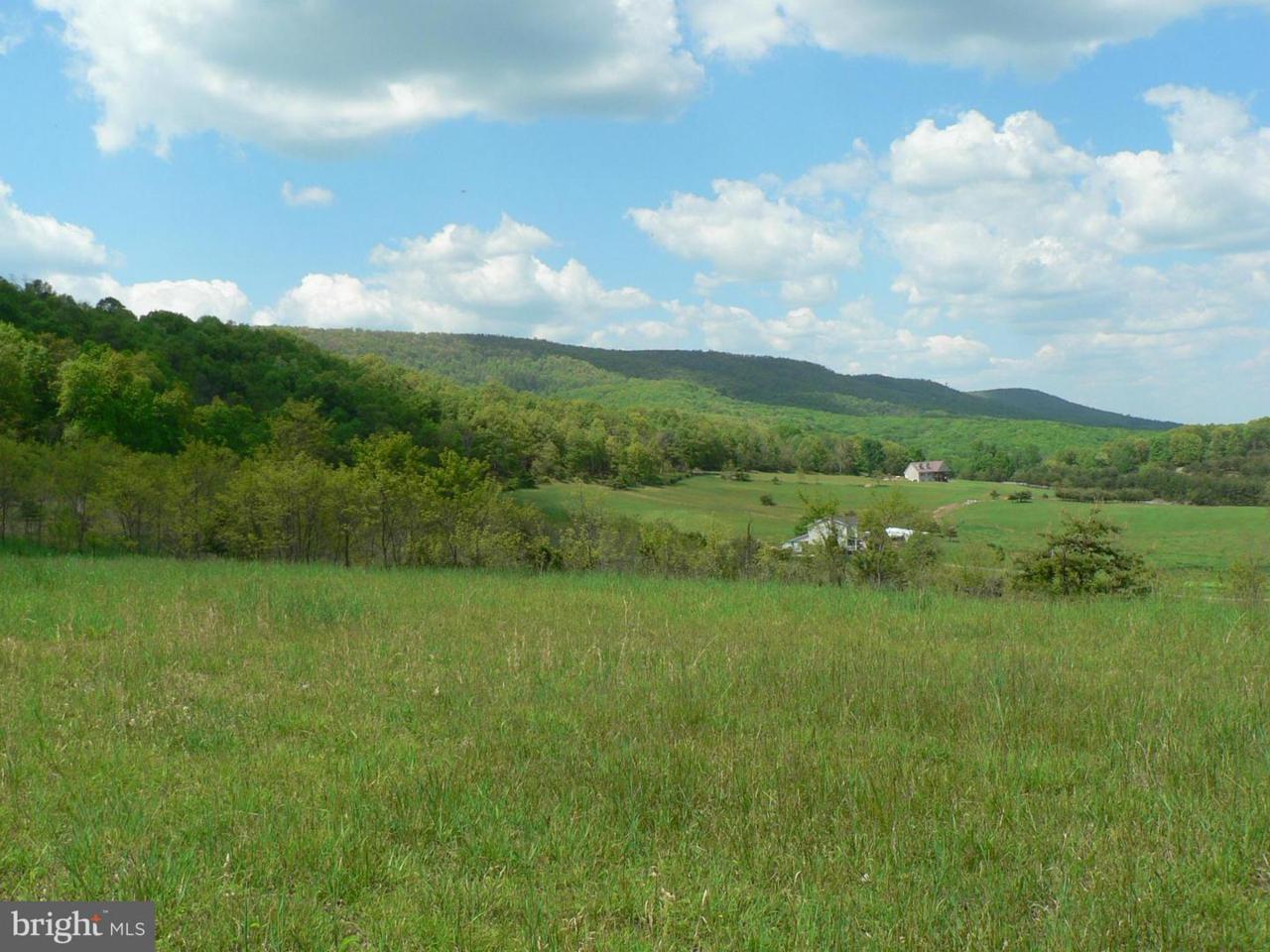 LOT 2 Top Of The Mountain Road - Photo 1